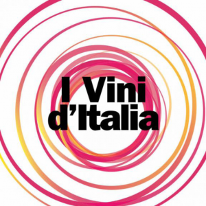 logo i vini d'italia